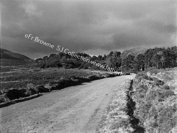 ON THE ROAD FROM LISMORE TO THE VEE